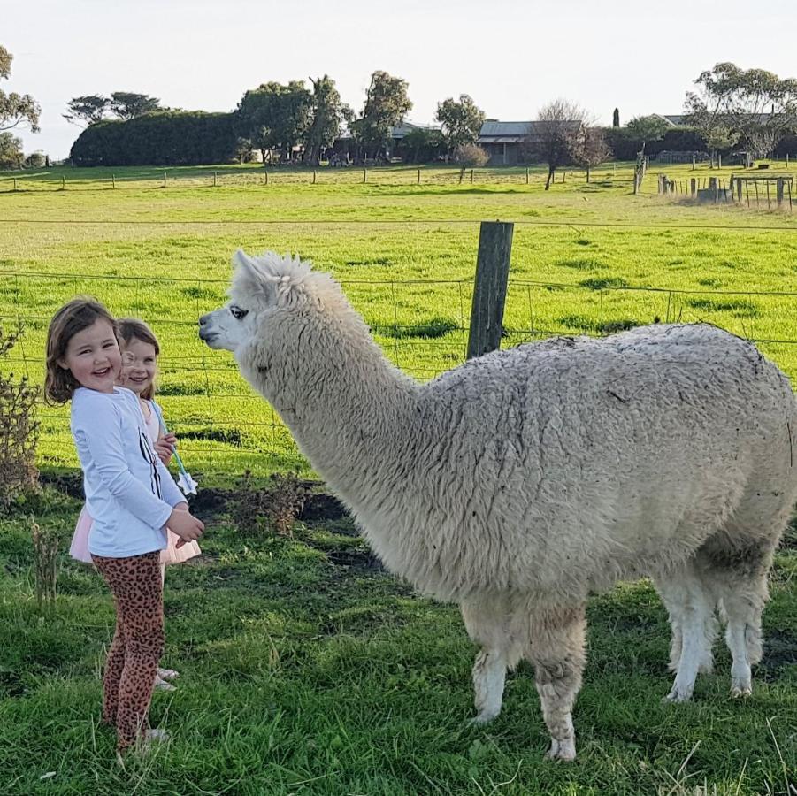 Clonmara Country House And Cottages Port Fairy Buitenkant foto