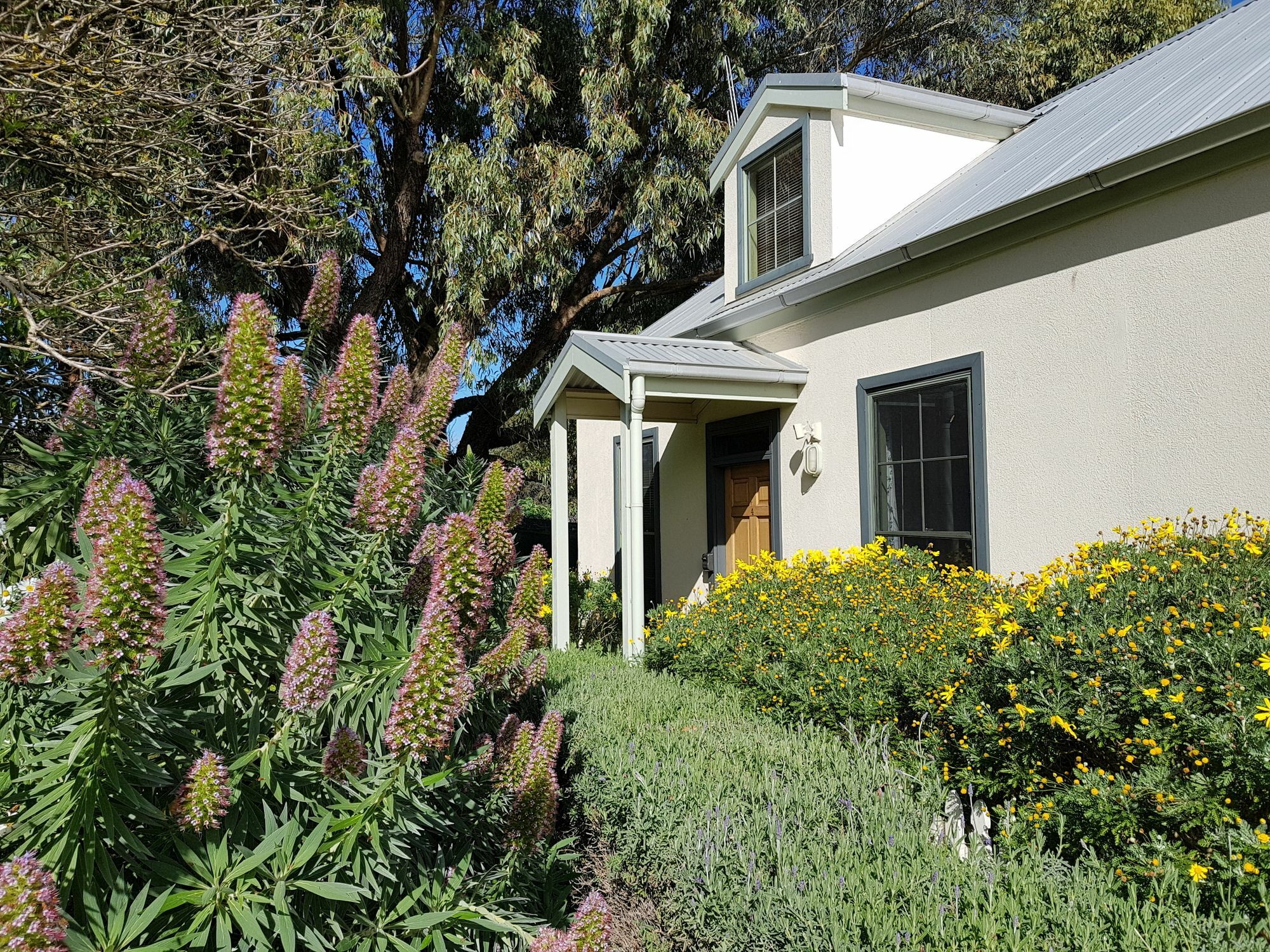 Clonmara Country House And Cottages Port Fairy Buitenkant foto